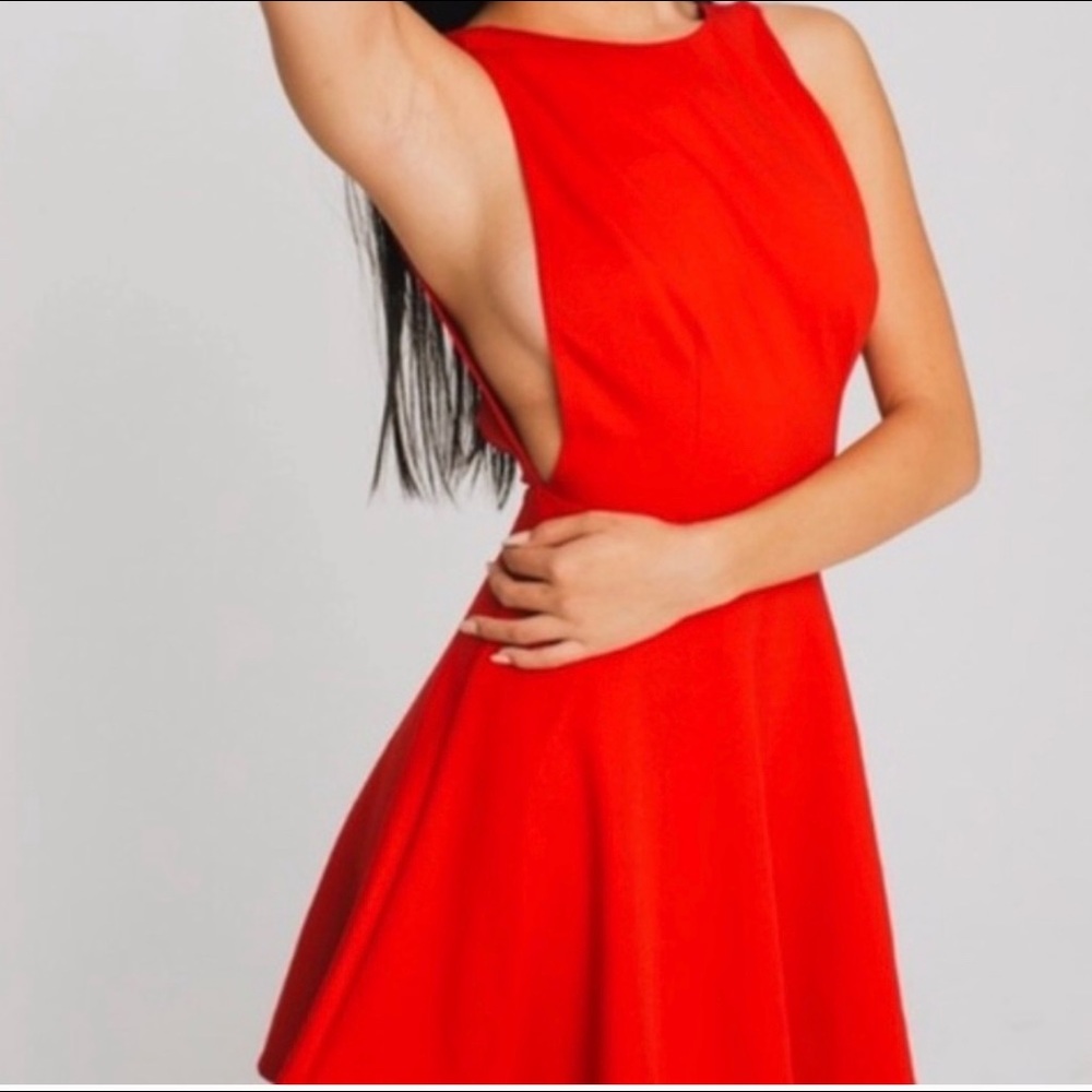 American Apparel skater side boob dress